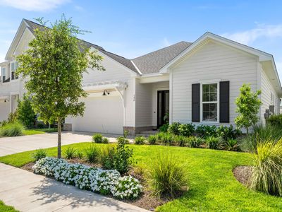 140 Suwannee Dr, Inlet Beach, FL, 32461