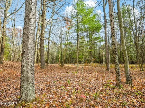 L13 Deer Path, Jefferson, NY 12093