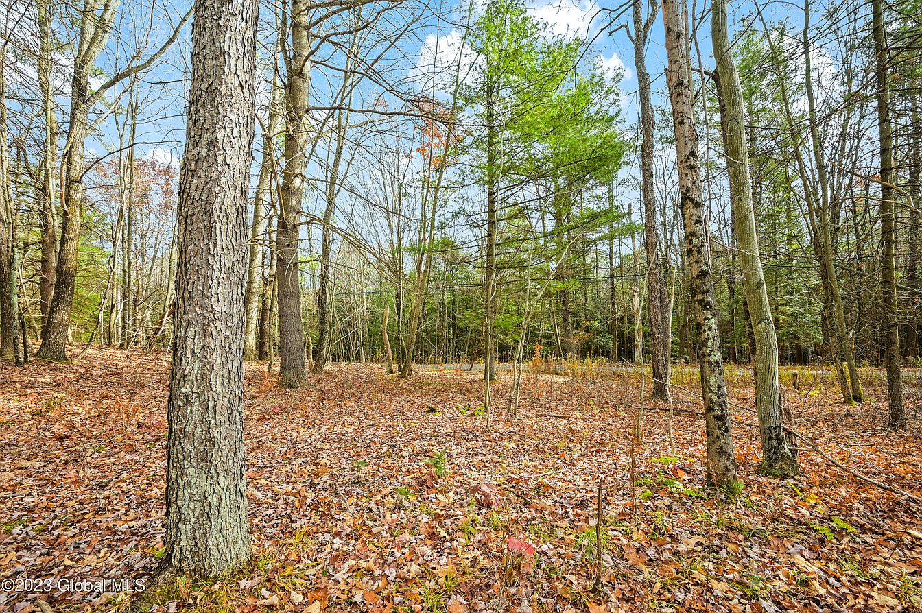 1st image of L13 Deer Path