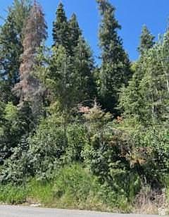 4th image of 390 Aspen Dr