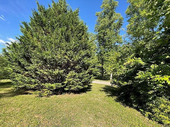 4th image of 185 Pine Loop Rd