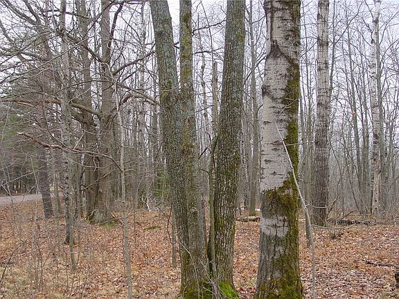 5th image of 25 Acres Mae West Road