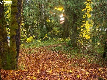 57063 North Bank Rd, OR