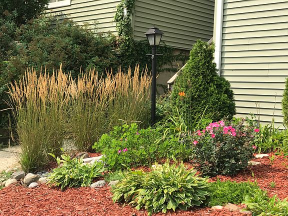 Gorgeous landscaping 
