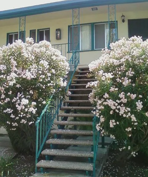 Welcome Home