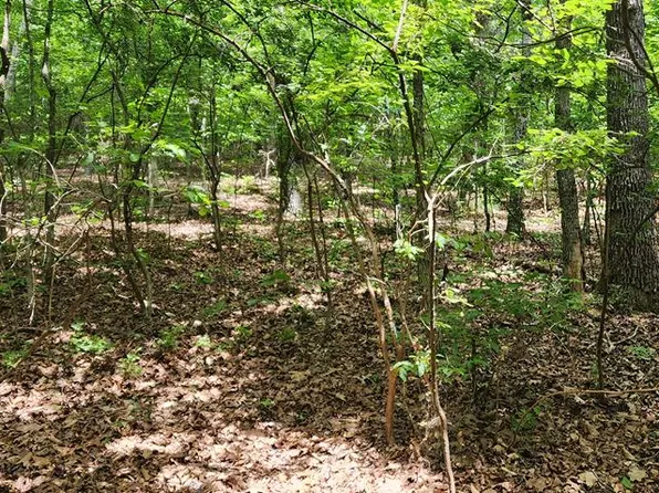B020 Lakeview Cv, Holladay, TN 38341