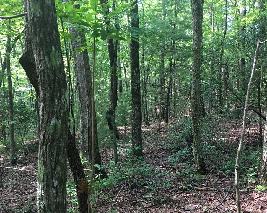2nd image of Fall Cir