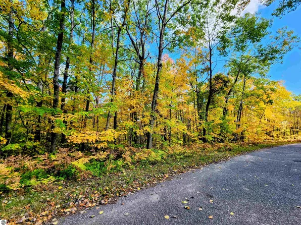 LOT 235 Cliffmont Dr, Mancelona, MI 49659
