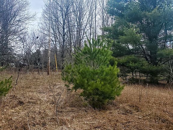 4th image of Lot 5 Dexter Road