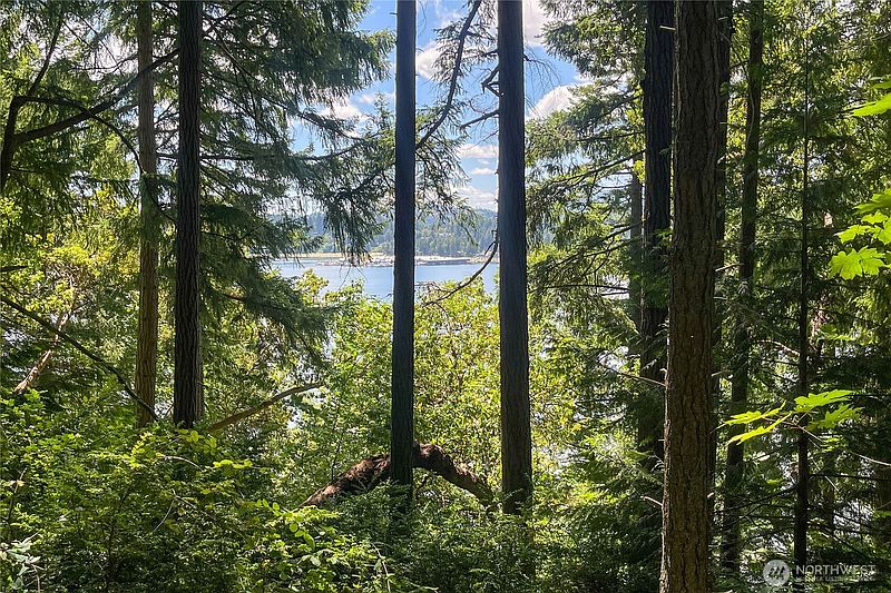 2nd image of 3 NW Sulphur Springs Lot 3