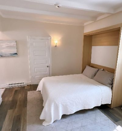 Living room with queen murphy bed