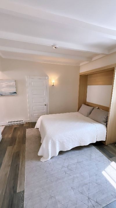 Living room with queen murphy bed