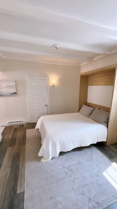 Living room with queen murphy bed