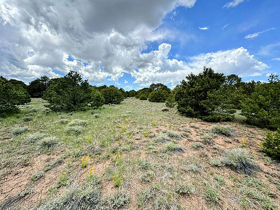 4th image of La Veta Pines Rnch #24