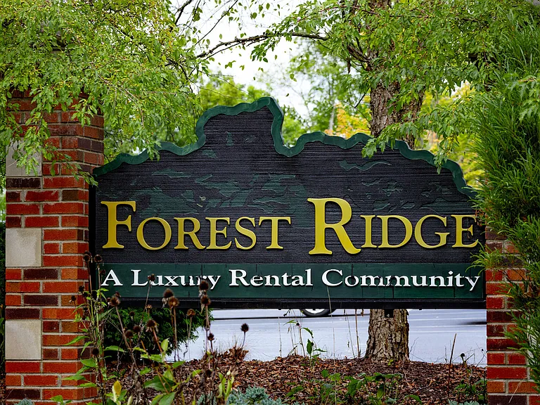 Forest Ridge — Photo 36
