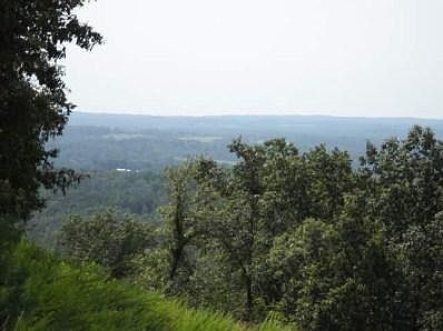 2nd image of 305 Little Eagle Mountain Rd