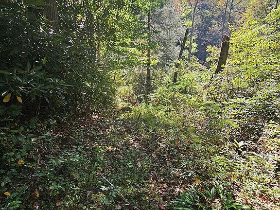 3rd image of 3563 Owl Creek Rd