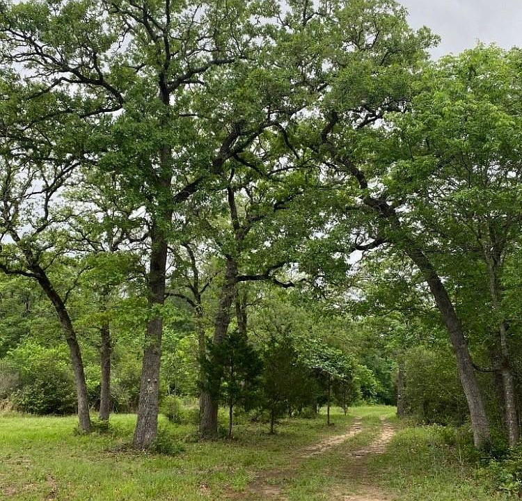 1st image of 1803 Doe Run Dr