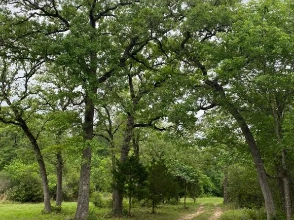 1803 Doe Run Dr, Waelder, TX 78959