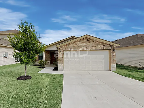 213 Texas Thistle Photo 1