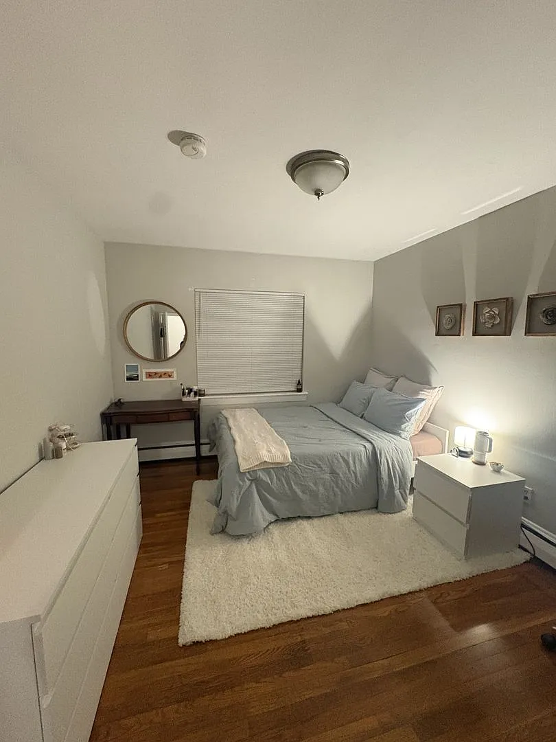 See YT Video! No Fee! Huge & Sunny Apt near Ts & Cleveland Cirlce. Cat Friendly — Photo 1