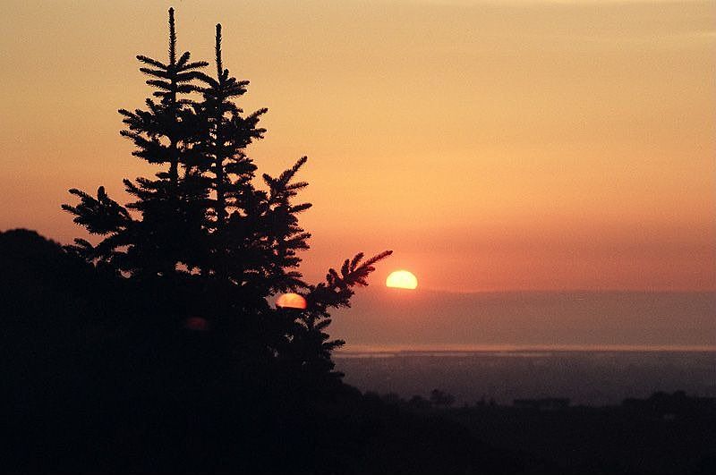 Back Yard Sunset