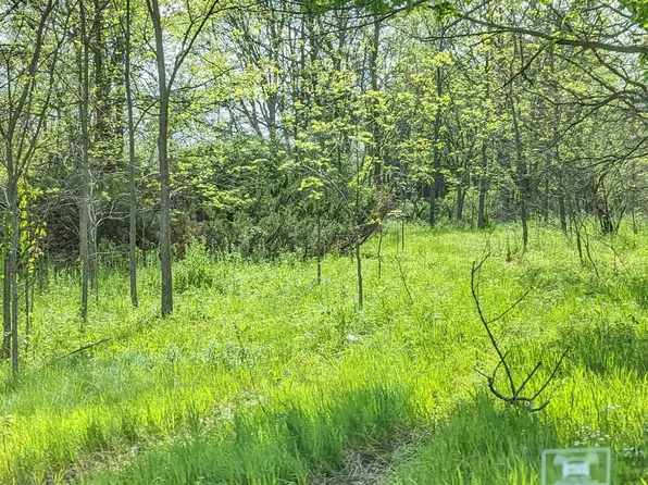 V/l N Riverview Dr, Plainwell, MI 49080