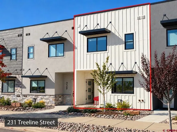 231 Treeline Street, Durango, CO 81301