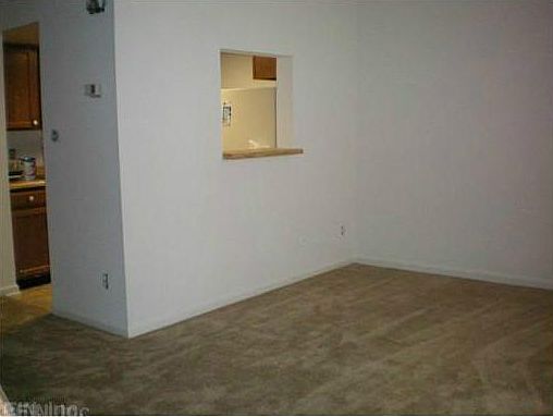4th image of 225 Thalia Trace Dr