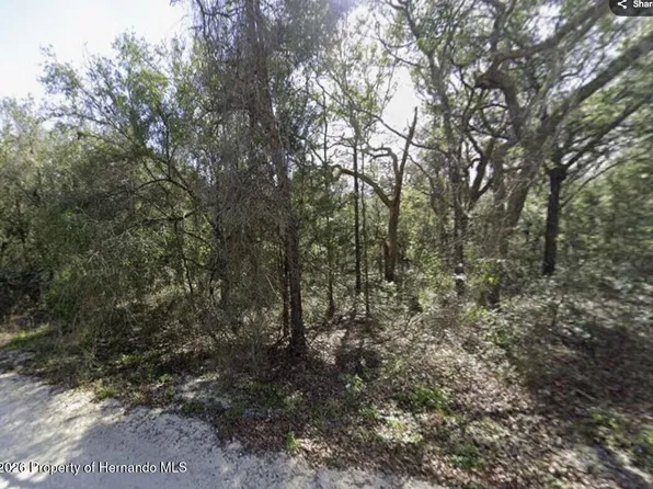 34086 Arrowrock St, Webster, FL 33597