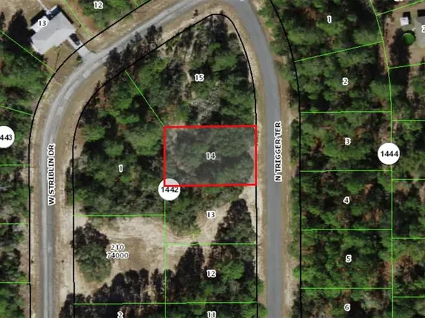 11126 N Trigger Ter Lot 14, Dunnellon, FL 34433