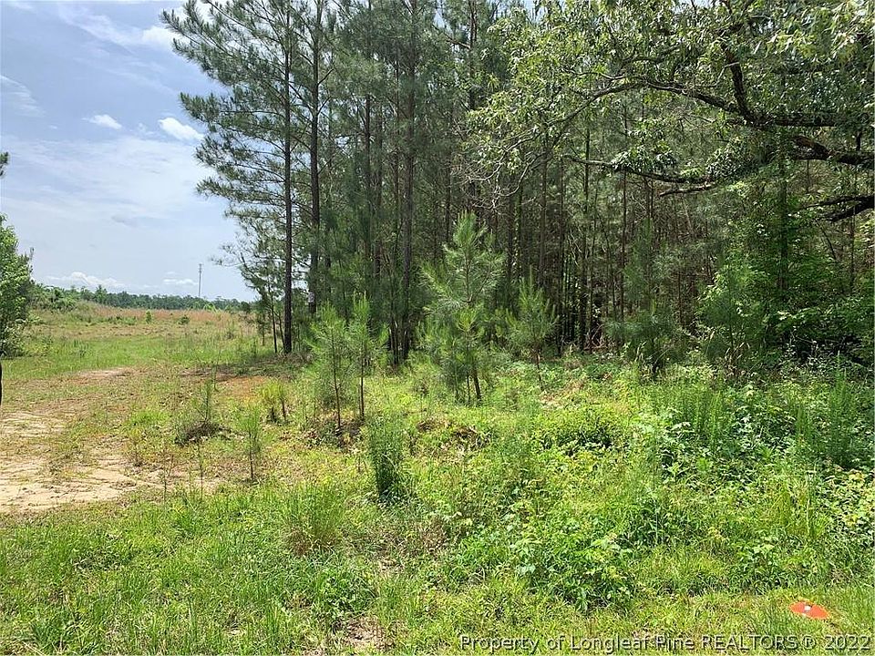 2nd image of 1087 Loop Rd
