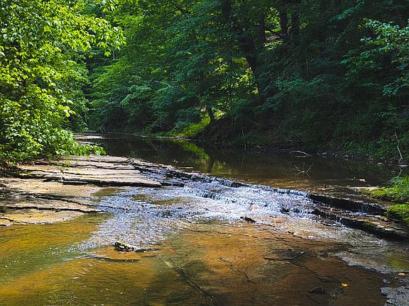 3rd image of 5 N Lick Creek Rd