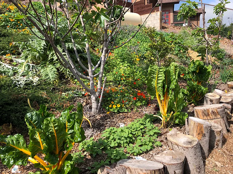 3605 Fortuna Ranch Rd — Photo 19