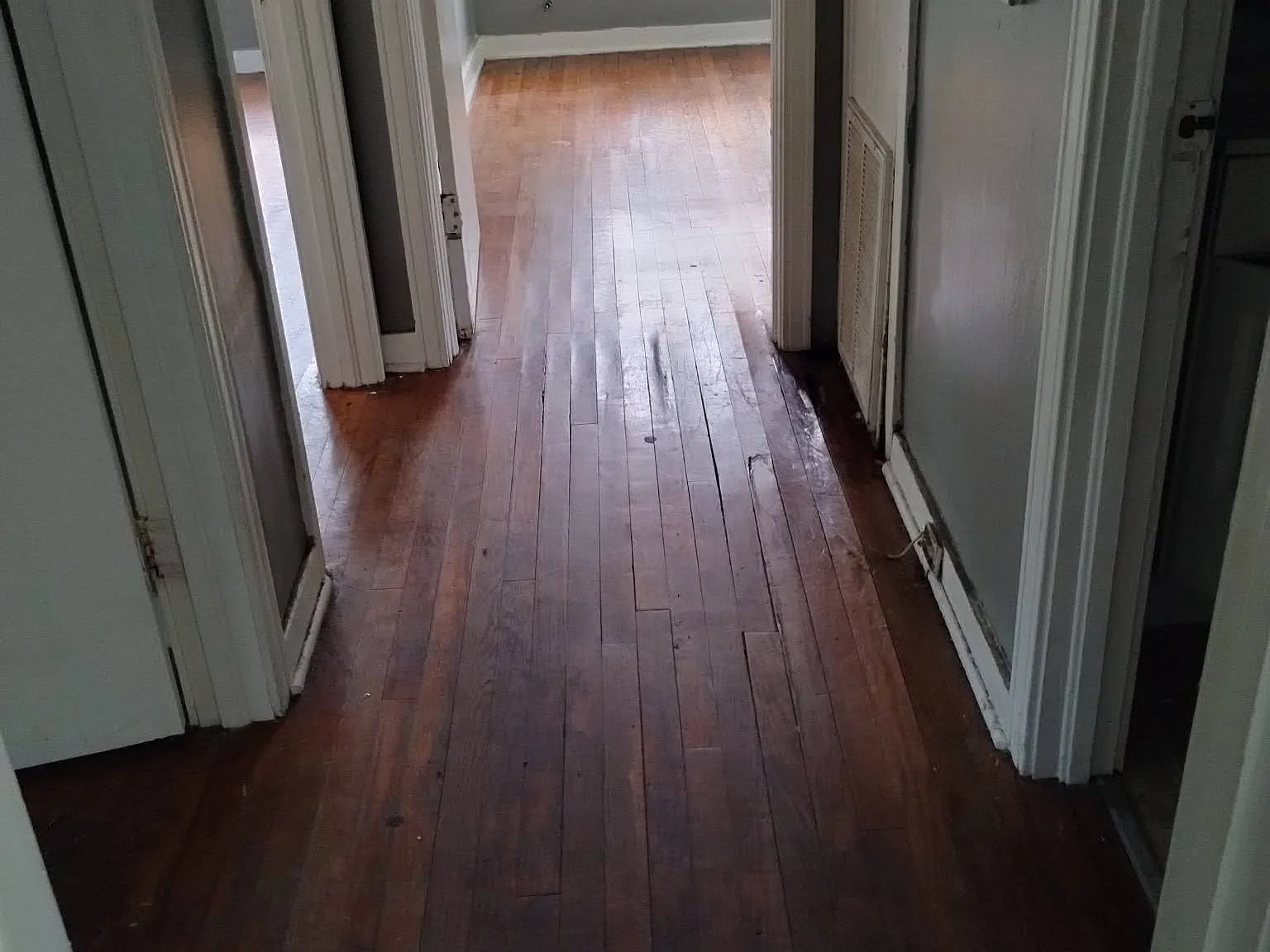 3 bed, $1,038 — Photo 3
