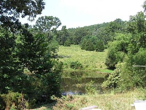 pond
