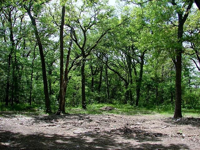 2nd image of 3721 NW County Road 3110