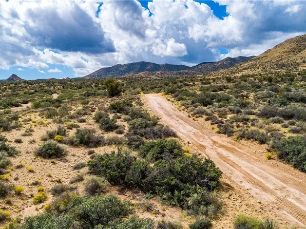 0 Homestead Ln, Hackberry, AZ 86411