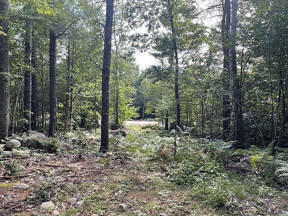 5th image of 000 Lady Slipper Lane