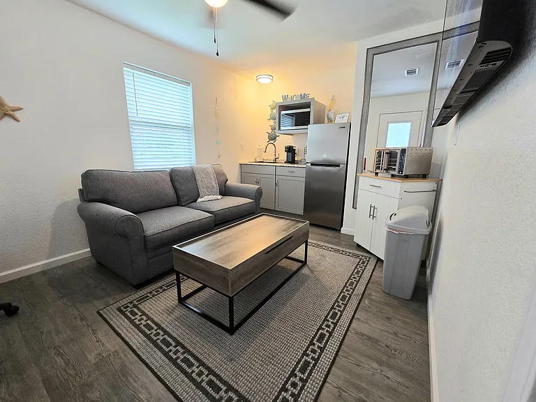 Living room/kitchenette