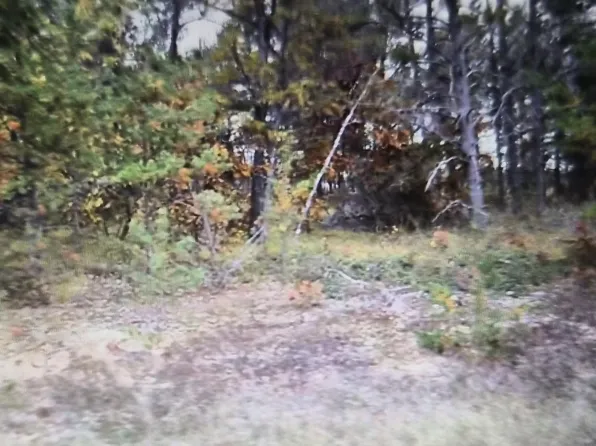 LOT 28 Northwood Dr, Grayling, MI 49738