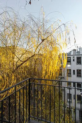 Rented by Centennial Properties NY | media 6