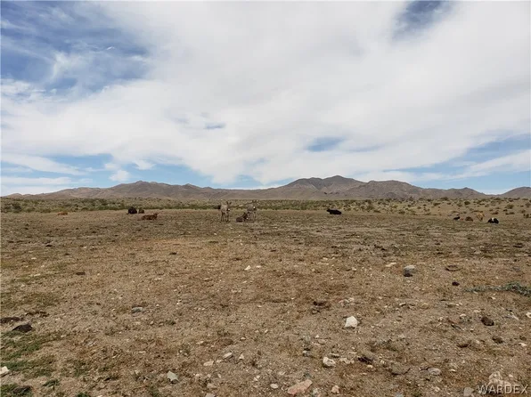 0 W 8th St, Dolan Springs, AZ 86441