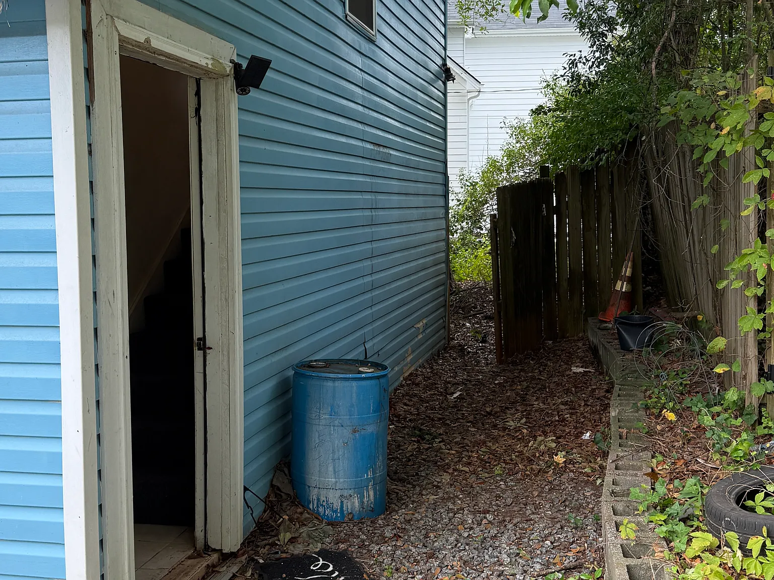 1 bed, 260 sqft, $1,500 — Photo 2