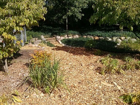 Summer backyard garden