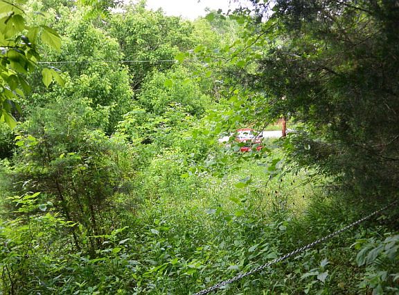5th image of 11776 Dodson Branch Hwy
