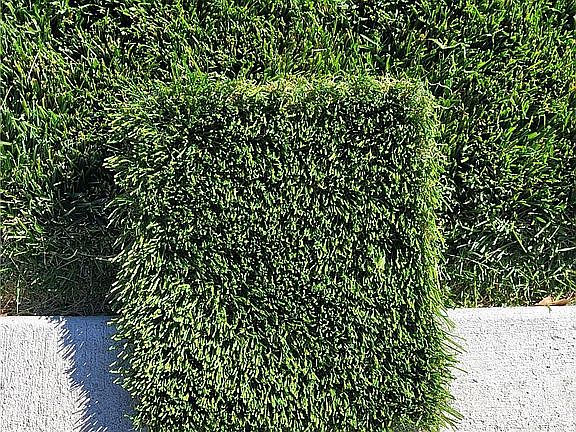 Artificial Turf