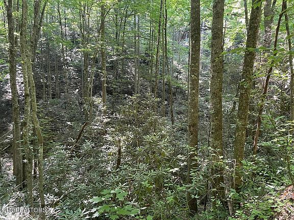 5th image of 76 Sycamore Dr Lot 76
