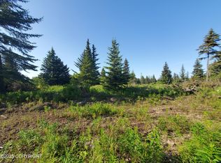 17561 Chefornak St, Ninilchik, AK 99639