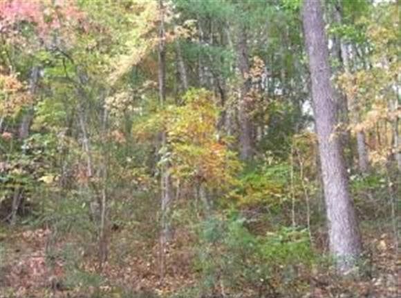 2nd image of 493 Banjo Ridge Rd